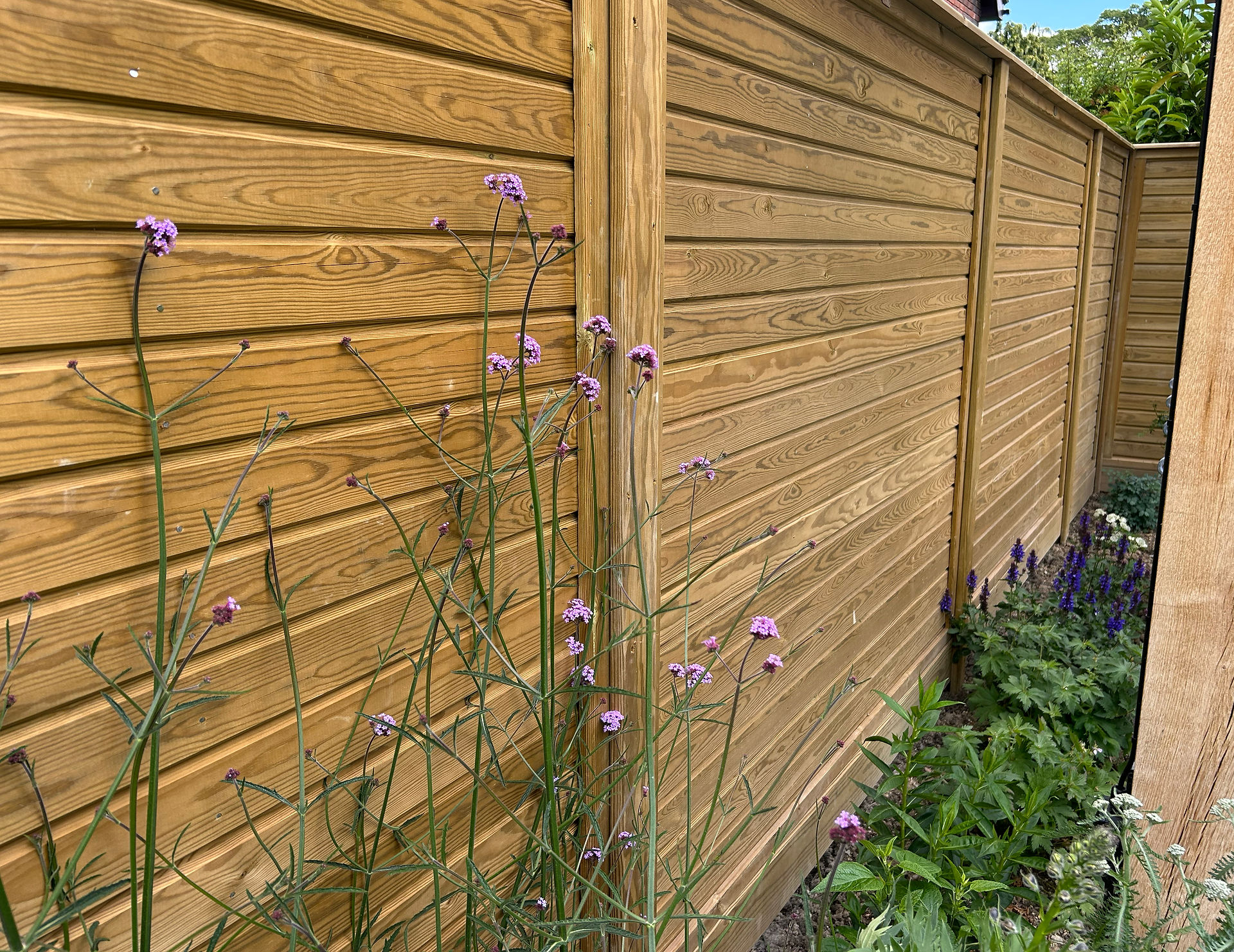 Jackson's Tongue and groove Fencing