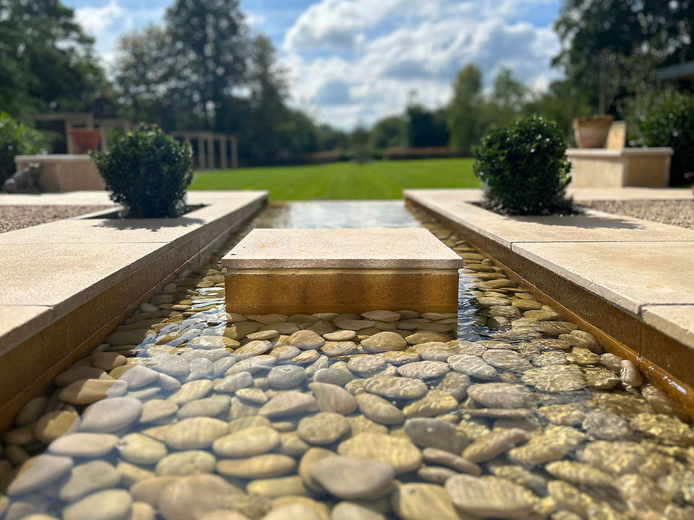 Contemporary rill with stepping stone