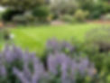 Garden design