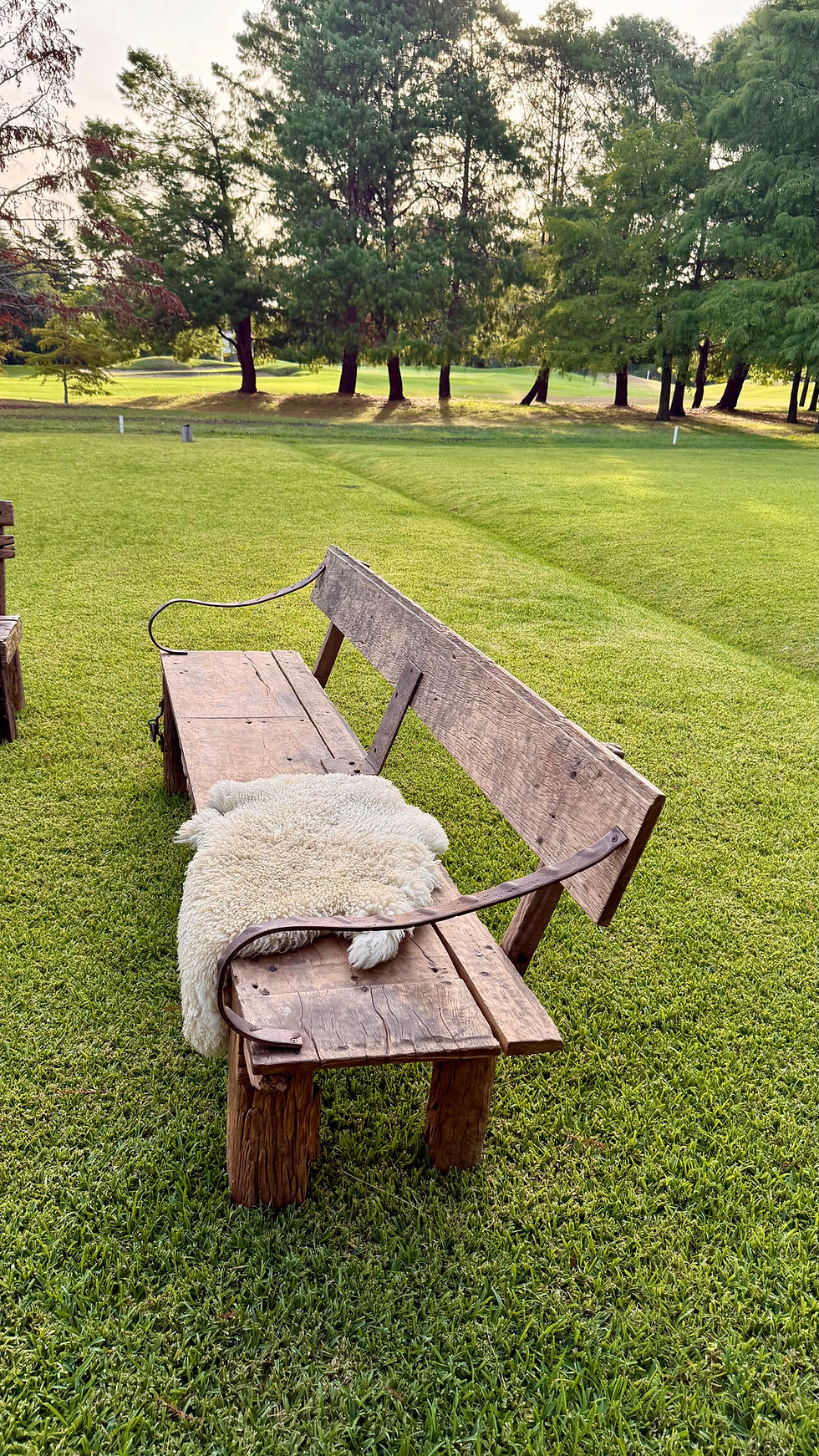 Miniatura: GRAN BANCO LAPACHO 230