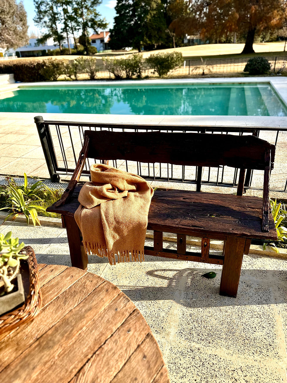 Miniatura: BANCO ANCHICO Y LAPACHO 125N