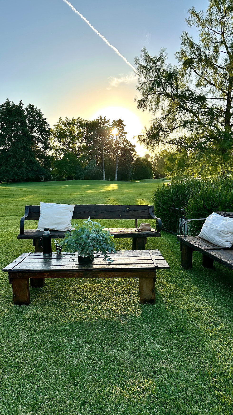 Miniatura: BANCO QUEBRACHO APOYA BRAZOS QUEBRACHO 200N