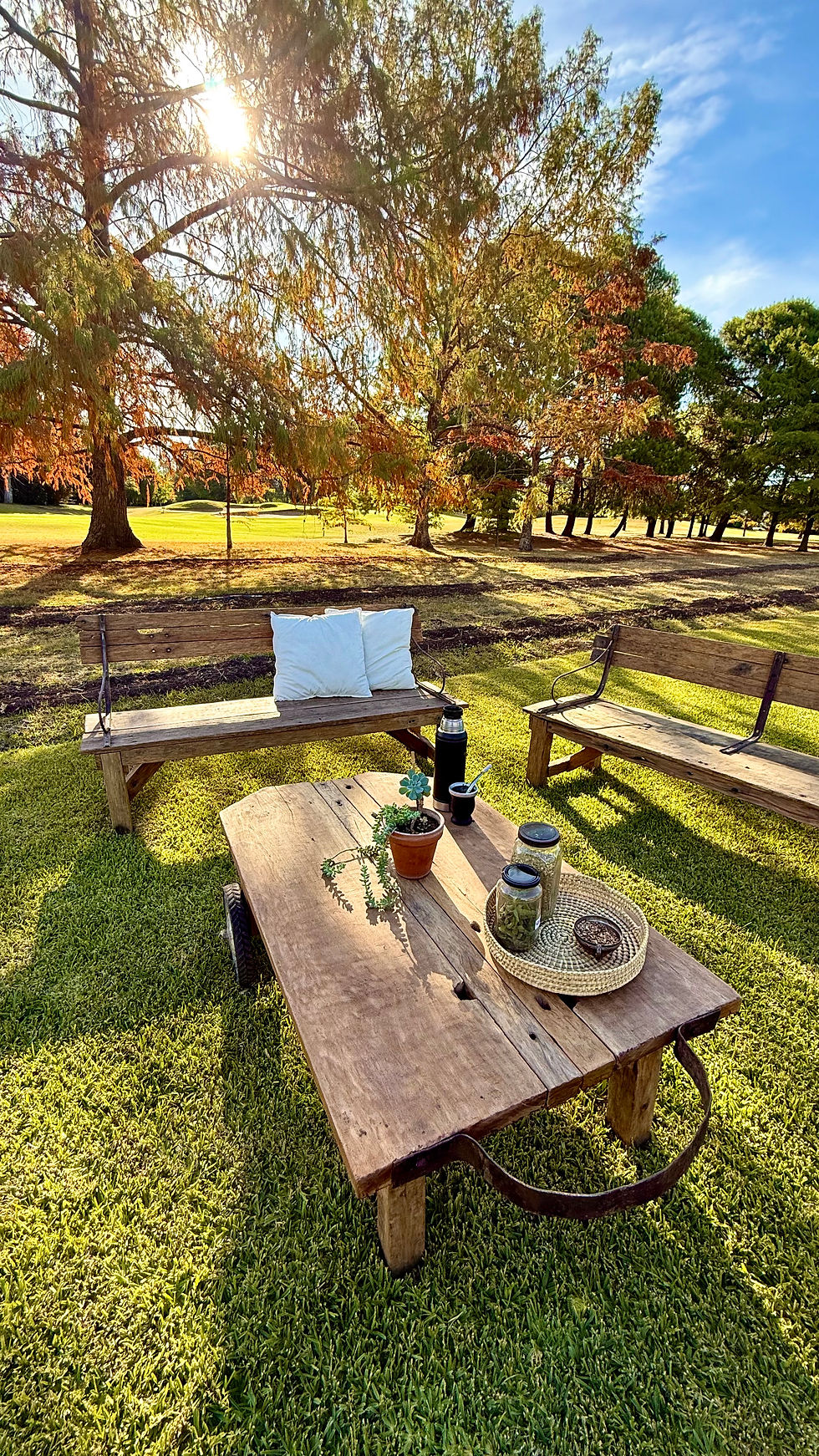 Miniatura: MESA RODANTE 135