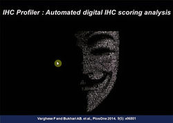 IHC profiler composite_edited