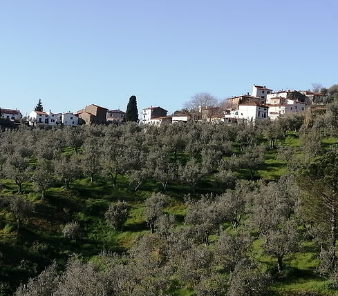 Fornello