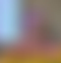 創會理事長 吳嘉麗教授 逝世