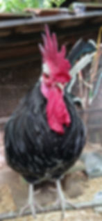 20260508_094824