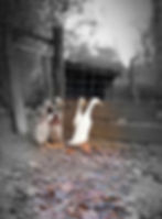 20231027_090330
