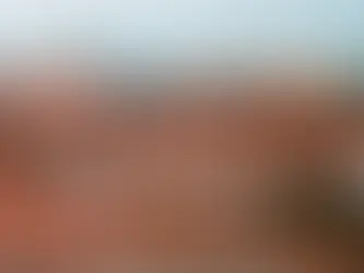 The Kinetic City                                           de Rahul Mehrotra