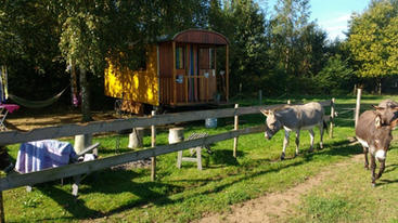 2016-09-12 10.22.55 (Klein).jpg