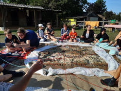 d3e9c93d-3559-416c-bce6-c6bb0c68705b.jfif (Klein).jpg