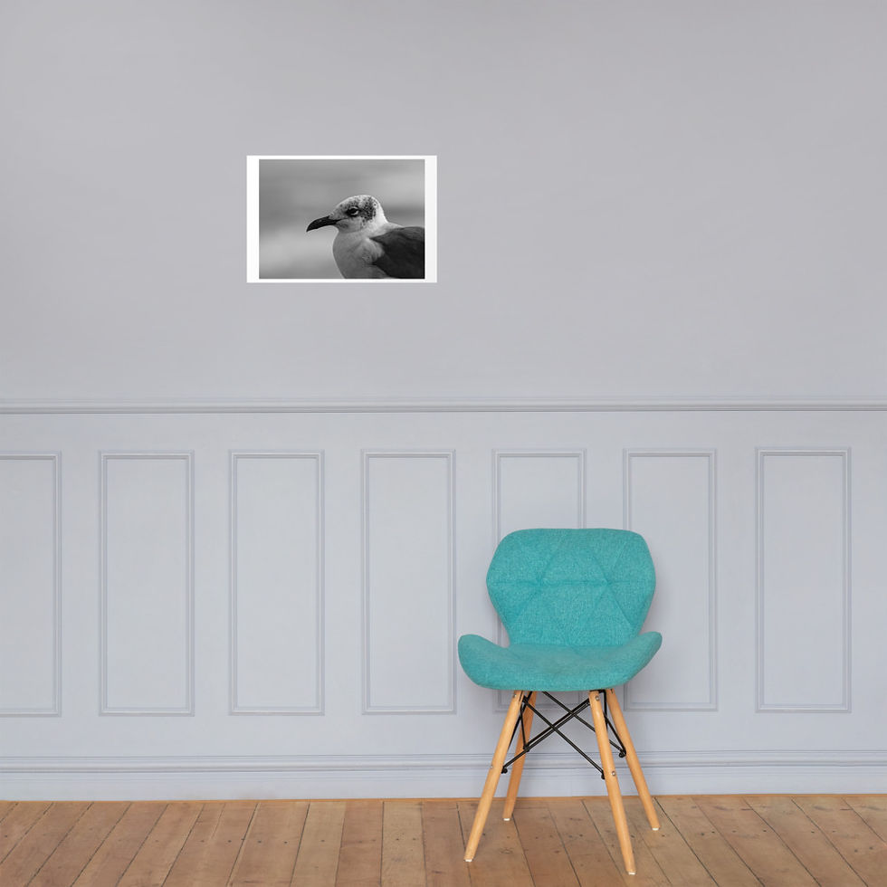 Thumbnail: Seagull Poster