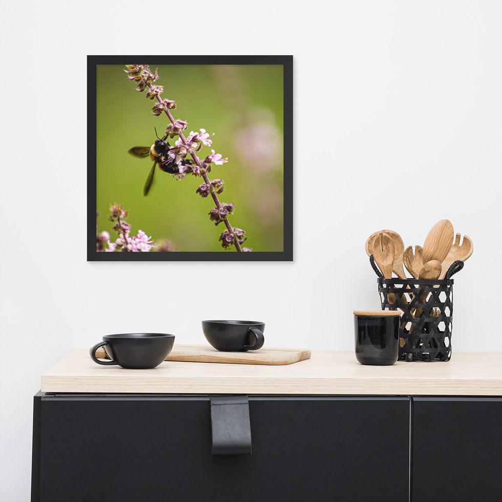 Thumbnail: Bumblebee Framed Poster