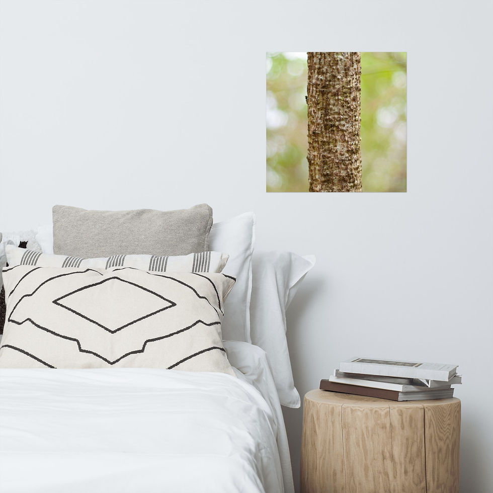 Thumbnail: Growth Poster