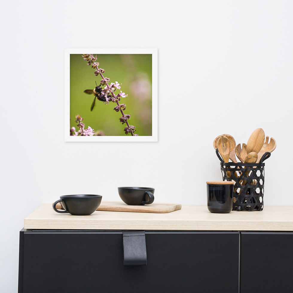 Thumbnail: Bumblebee Framed Poster