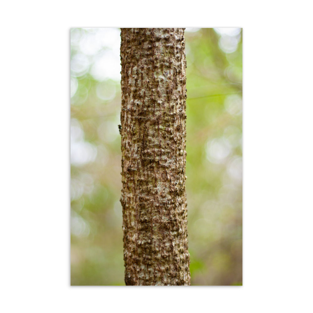 Growth Postcard