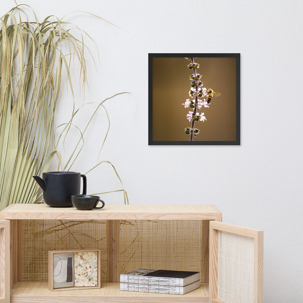 Thumbnail: Pollination Framed Poster