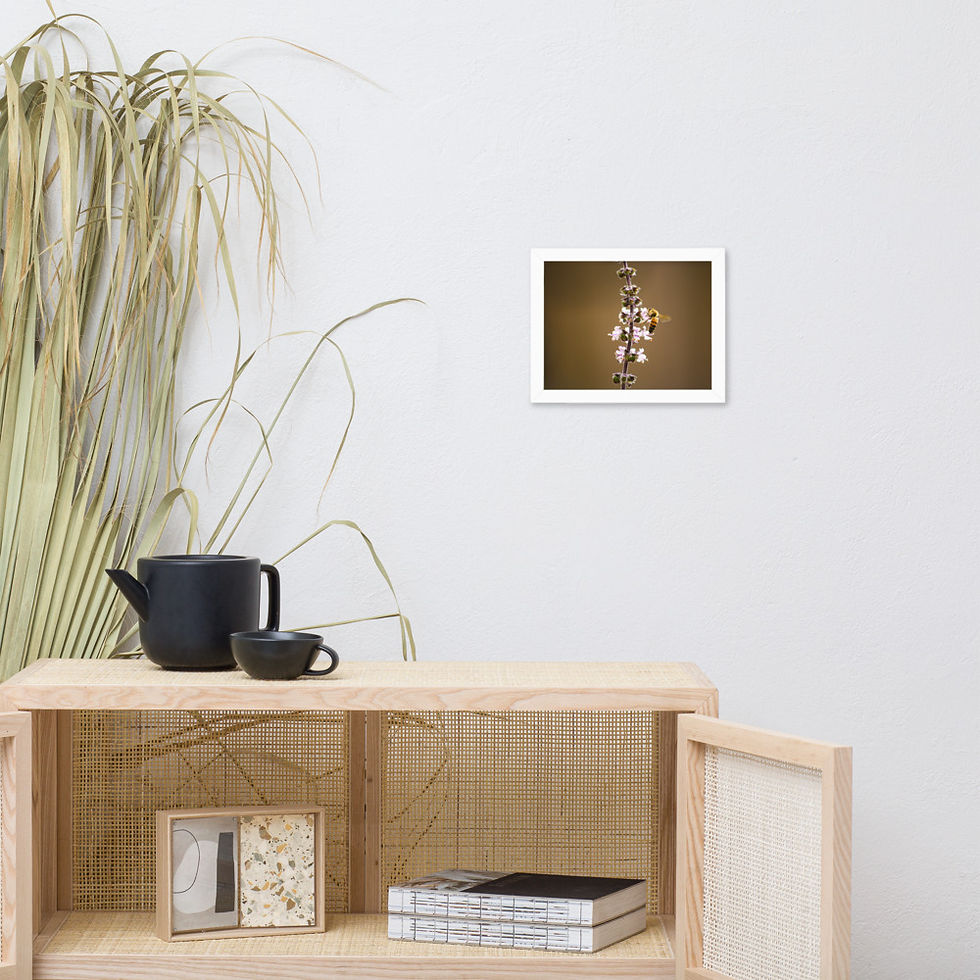 Thumbnail: Pollination Framed Poster
