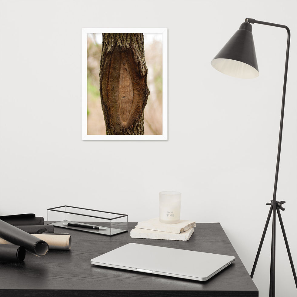Thumbnail: Sight Framed Poster