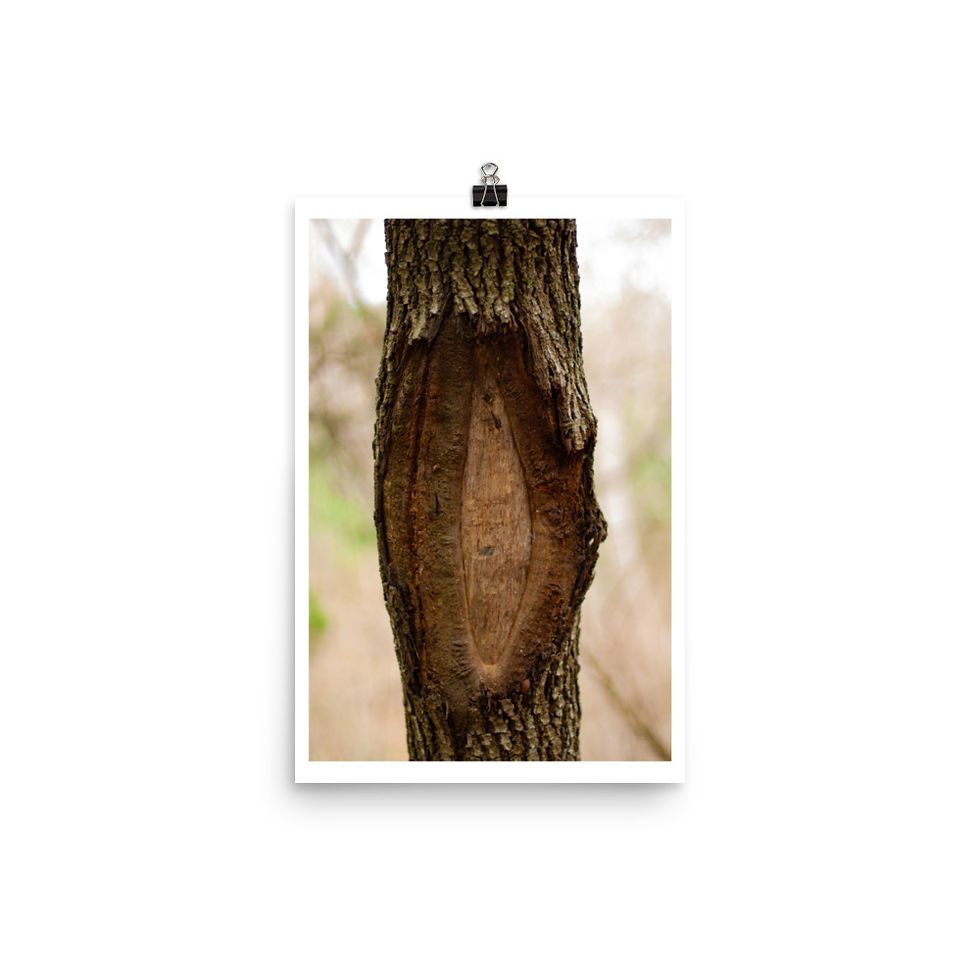 Thumbnail: Sight Poster