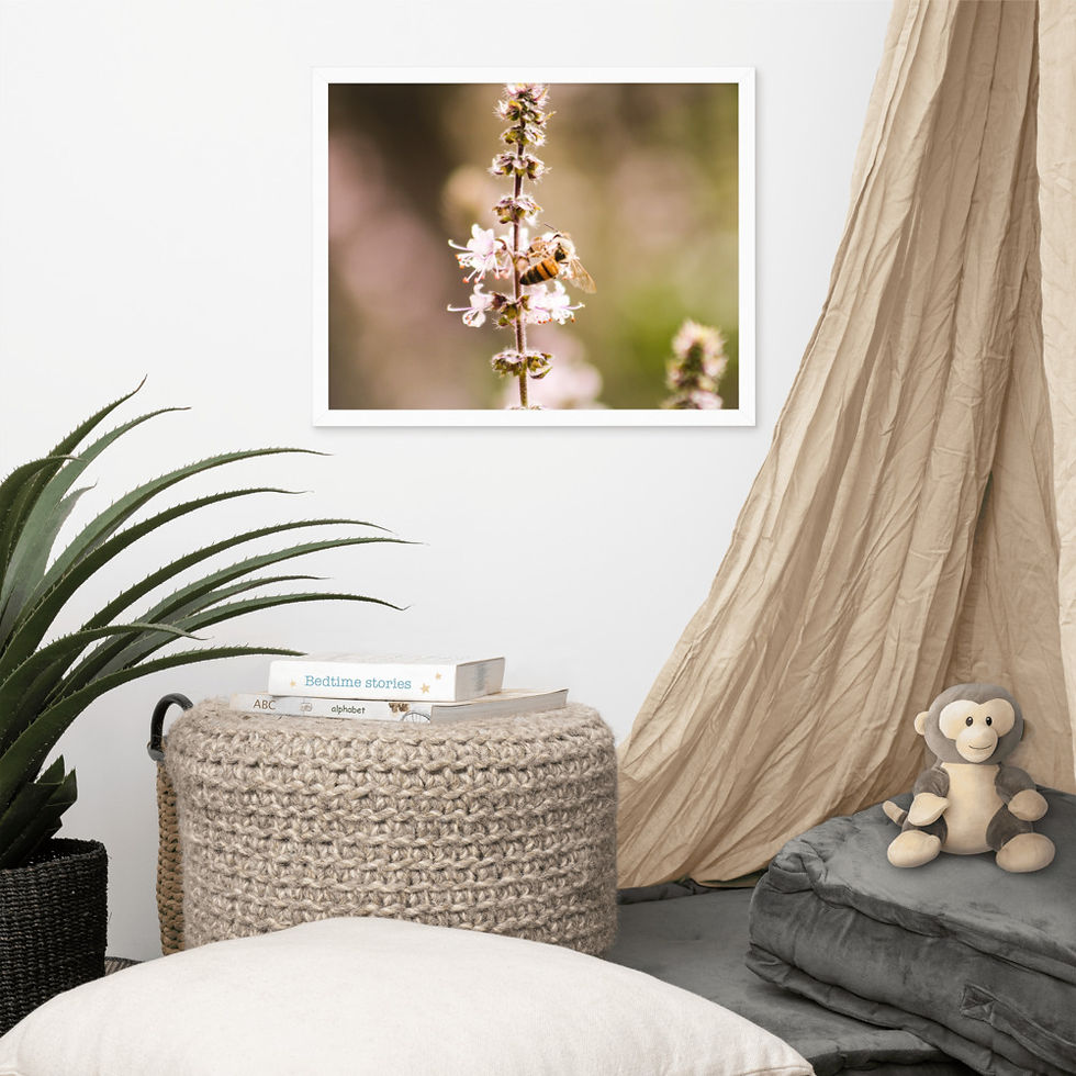 Thumbnail: Honeybee Framed Poster