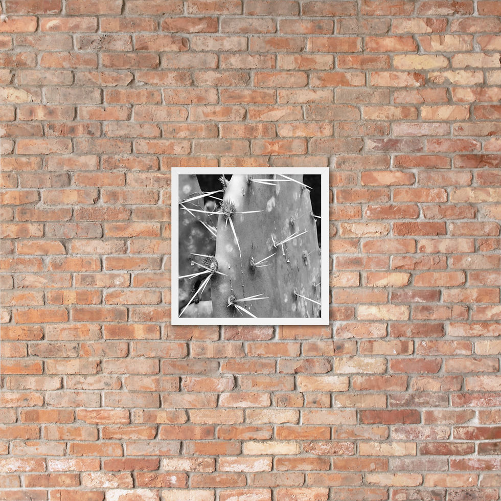 Thumbnail: Thorns Framed Poster