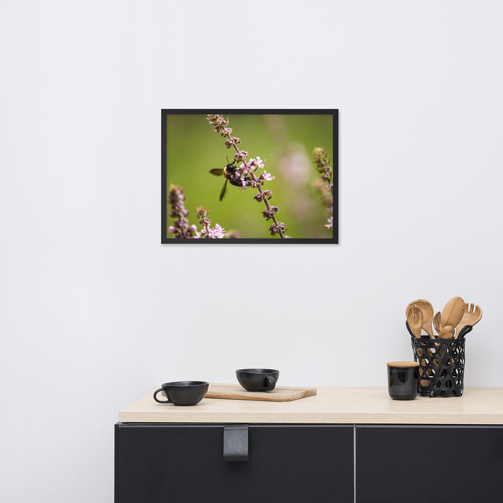 Thumbnail: Bumblebee Framed Poster