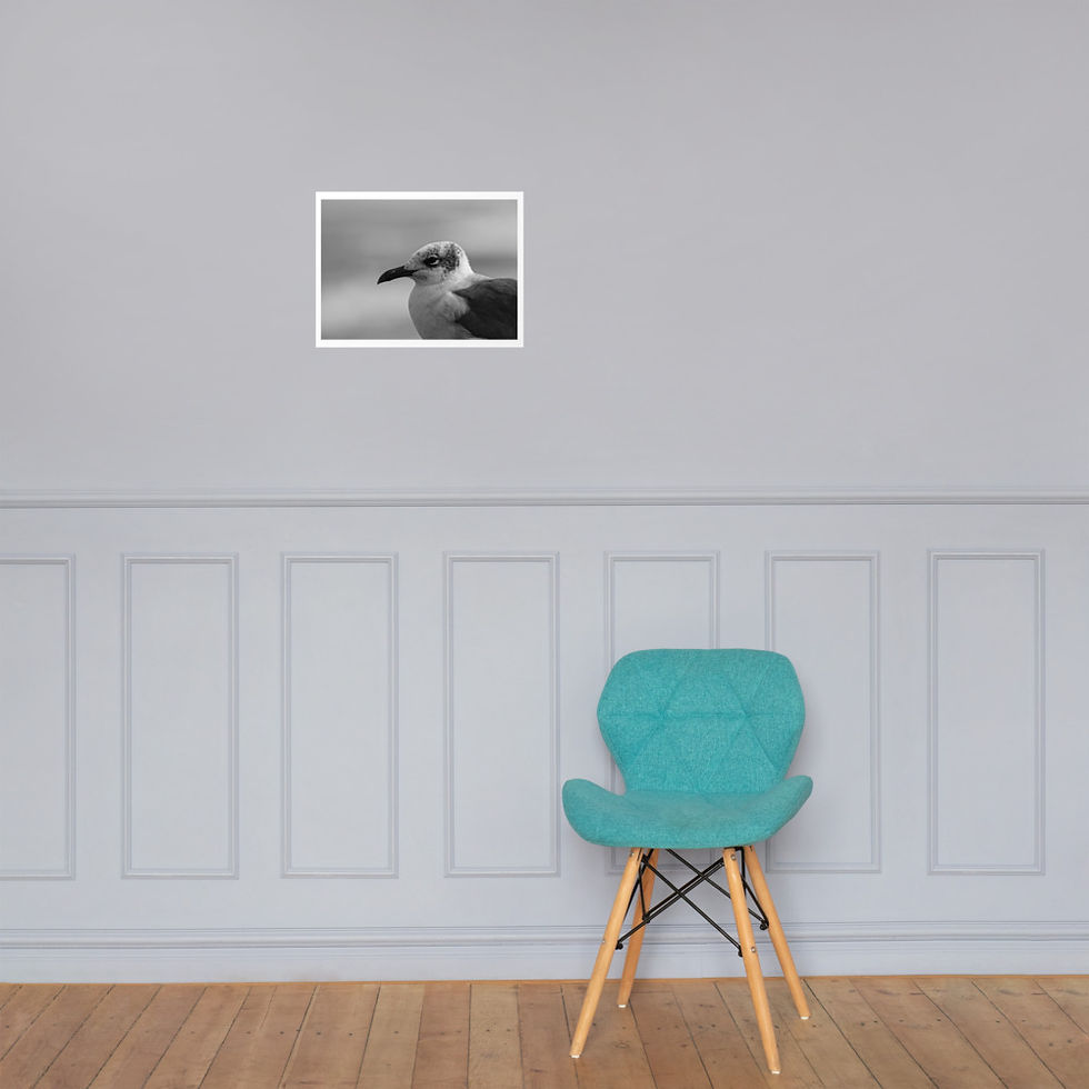 Thumbnail: Seagull Poster