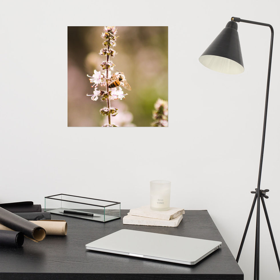 Thumbnail: Honeybee Poster