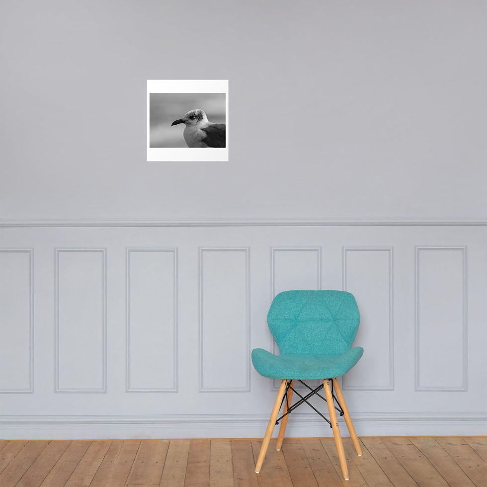 Thumbnail: Seagull Poster