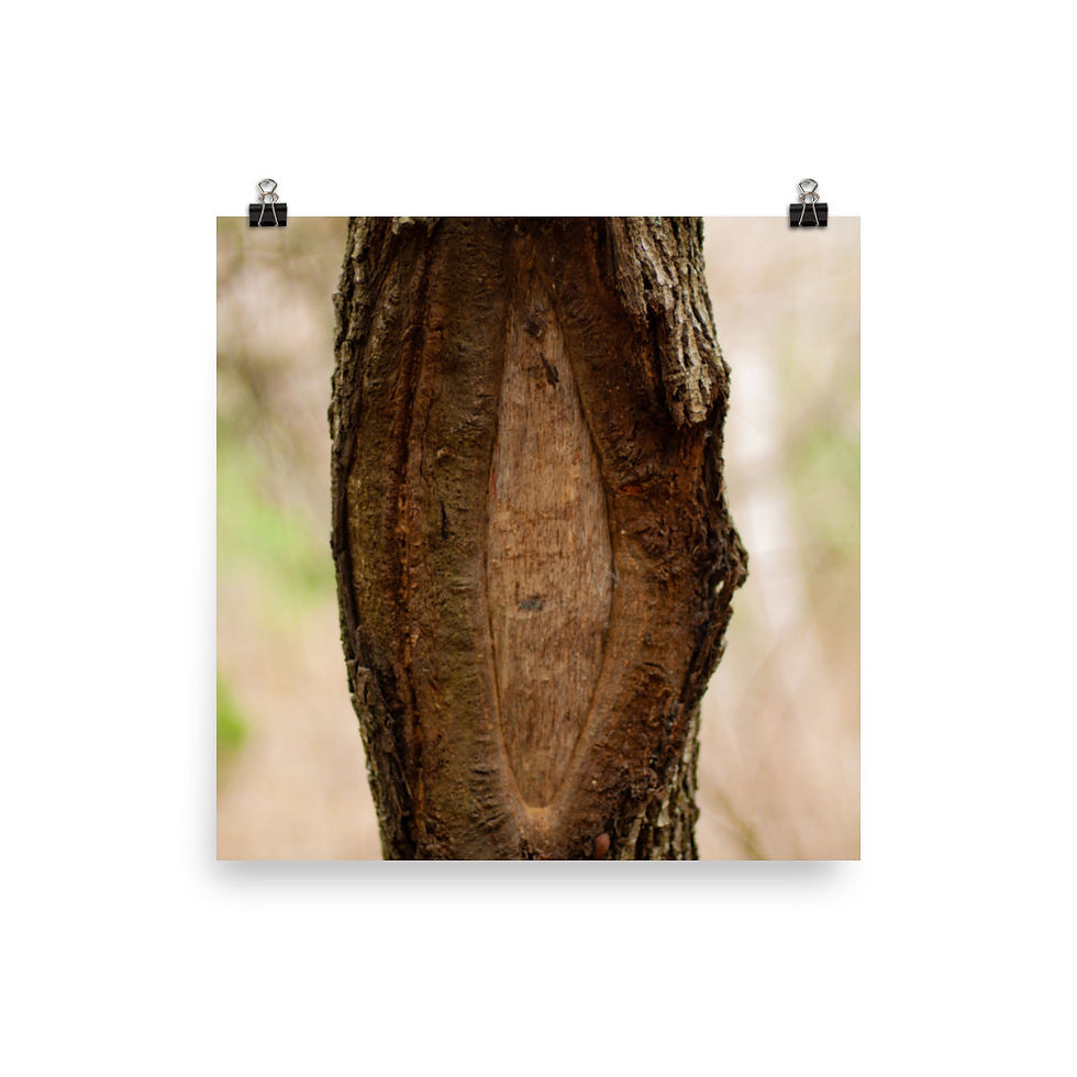 Thumbnail: Sight Poster