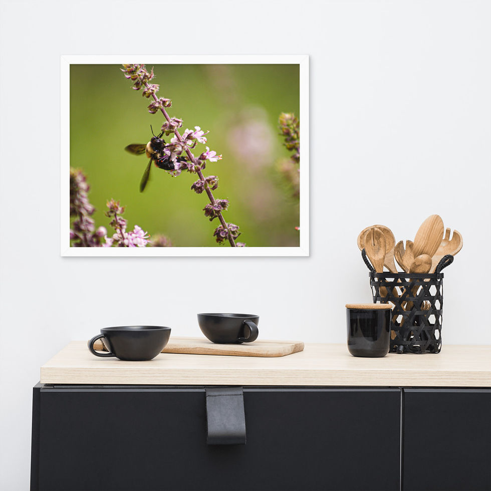 Thumbnail: Bumblebee Framed Poster
