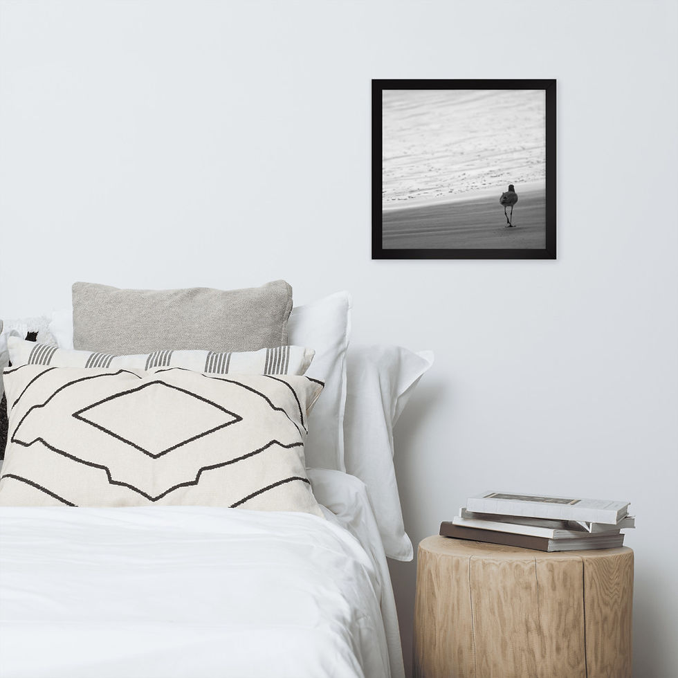 Thumbnail: Beachcomber Framed Poster