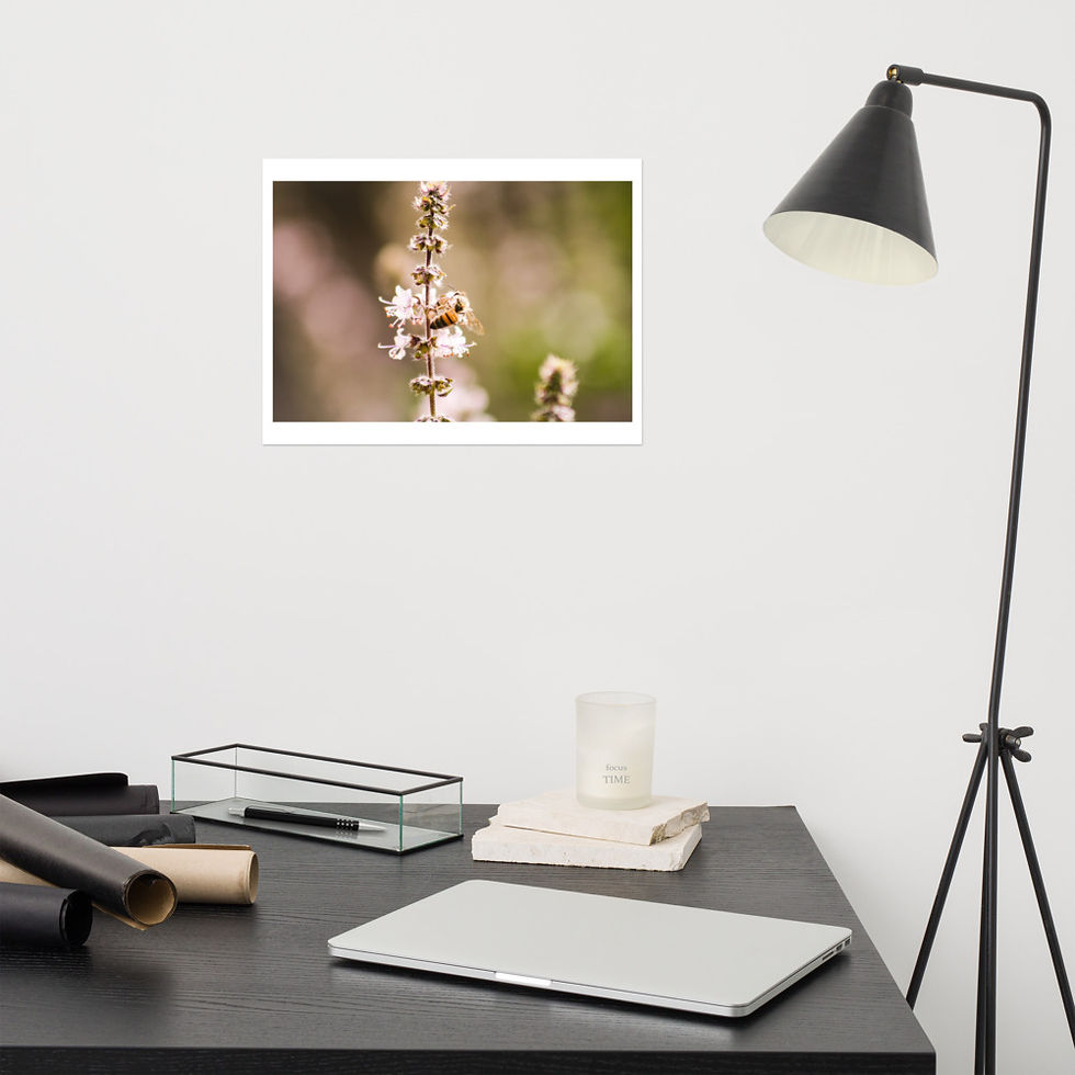Thumbnail: Honeybee Poster