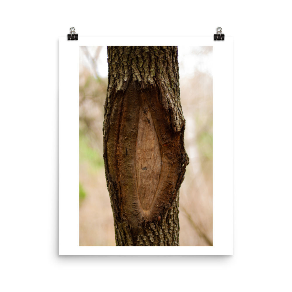 Sight Poster