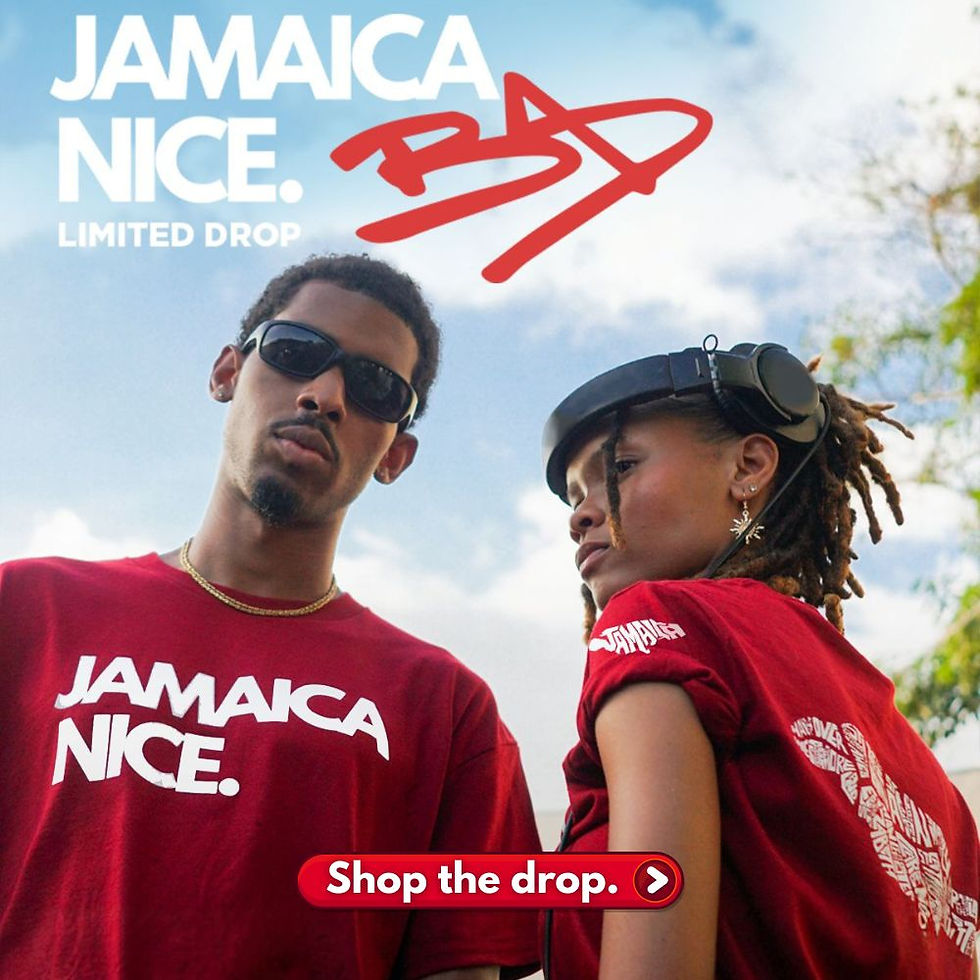 jamaica nice custom limited tee bad art gallery
