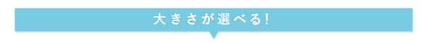 大きさが選べる.png