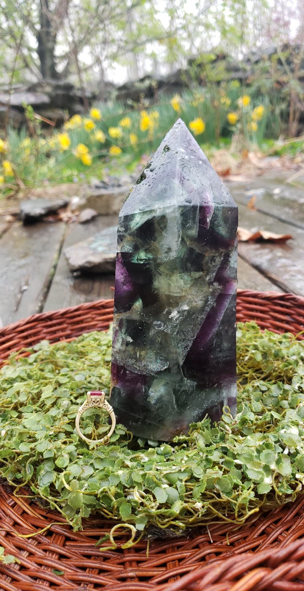 HUGE Fluorite Piece nearly 7 inches.