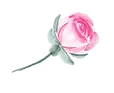 blomster-02.webp