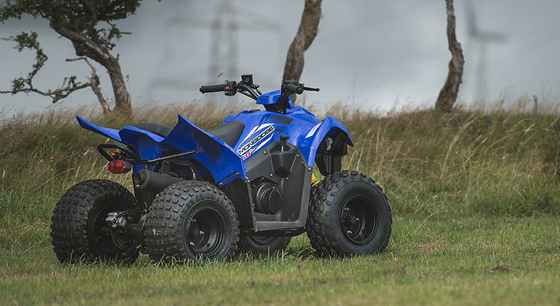 mongoose-90-featured-new (1).jpg