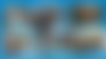 Never Again Means Never Again