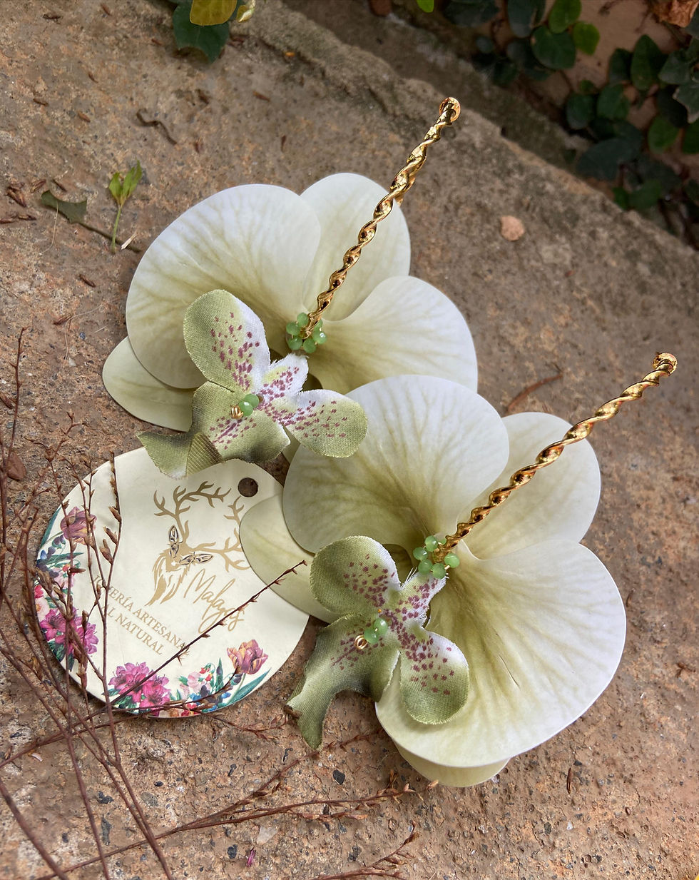 Miniatura: Candongas Phanaelopsis XL