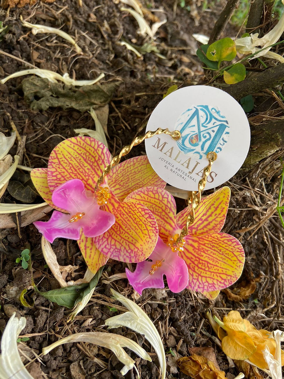 Miniatura: Orchids Hoops M
