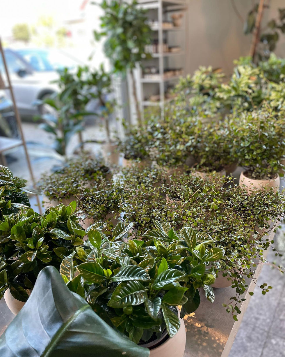 346664236_822229826092956_7378636079628450586_n