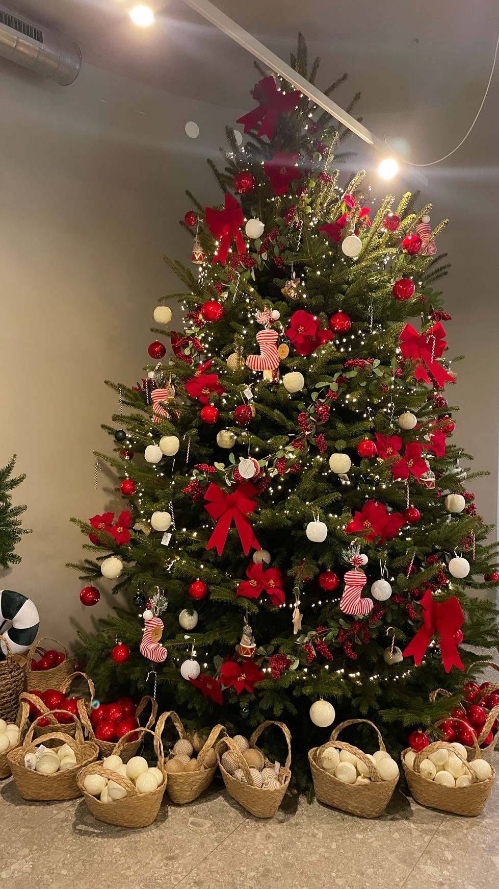 11A26378-01B2-4113-B9A3-C6F3781FE092