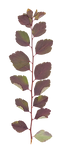 feuille 4