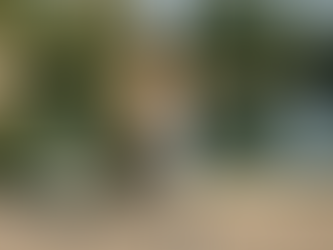 Tập luyện tăng cường thể lực: Bí quyết giúp cơ thể khỏe mạnh và dẻo dai