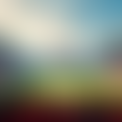 The Valuable Insights of a Spectator: Why Their Perspective Matters