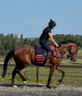 Just Edith Trotting