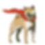 MASCOTTE_V2.jpg